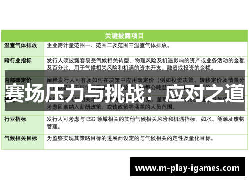赛场压力与挑战:应对之道 赛场压力与挑战:应对之道