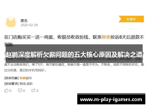 赵鹏深度解析欠薪问题的五大核心原因及解决之道 赵鹏深度解析欠薪问题的五大核心原因及解决之道
