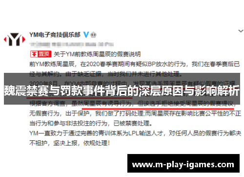 魏震禁赛与罚款事件背后的深层原因与影响解析